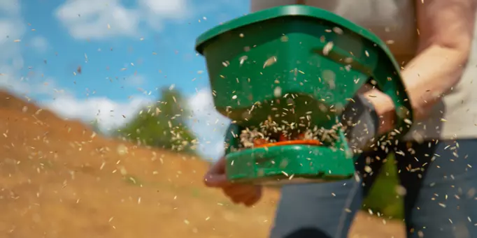 Wysiew trawy ręcznym siewnikiem